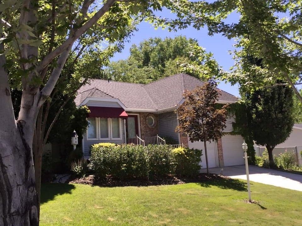 Charming single-story home surrounded by lush greenery and trees on a sunny day.