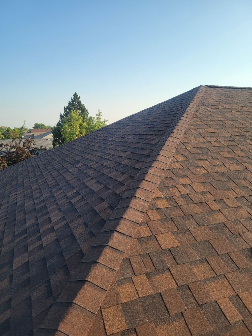 Roofing shingles on a pointed roof with clear blue sky and trees in the background.